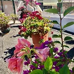 Casa Maiakai 度假居 普拉亚布兰卡