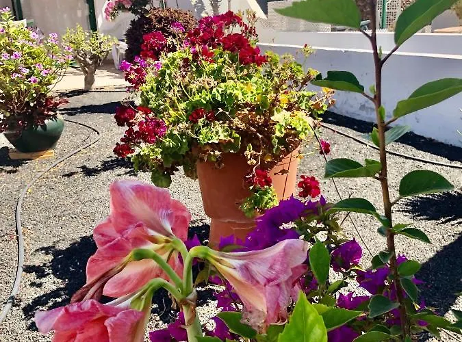 Casa Maiakai Prázdninový dům Playa Blanca (Lanzarote)