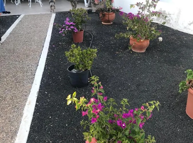 Casa Maiakai Vakantiehuis